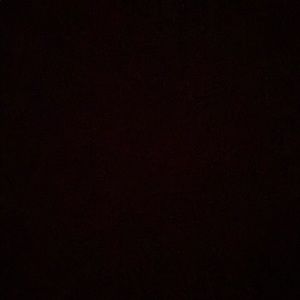 Meet your Posher, Brynn